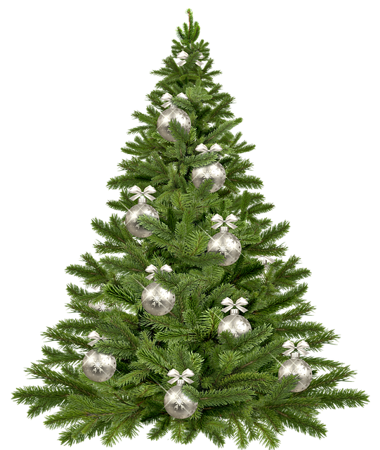 christmas tree 1853582 640 1